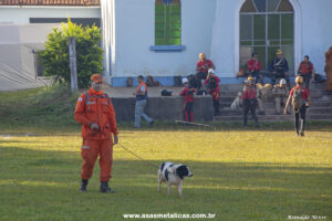 Caes farejadores em Brumadinho